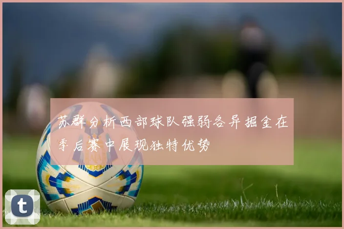 苏群分析西部球队强弱各异掘金在季后赛中展现独特优势