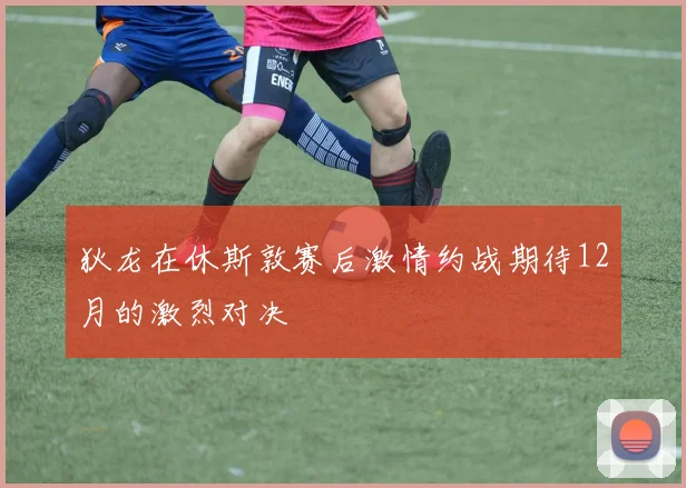 狄龙在休斯敦赛后激情约战期待12月的激烈对决