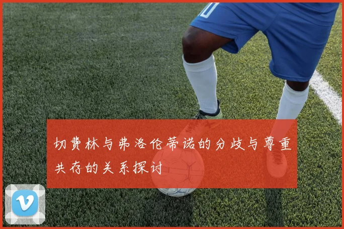 切费林与弗洛伦蒂诺的分歧与尊重共存的关系探讨