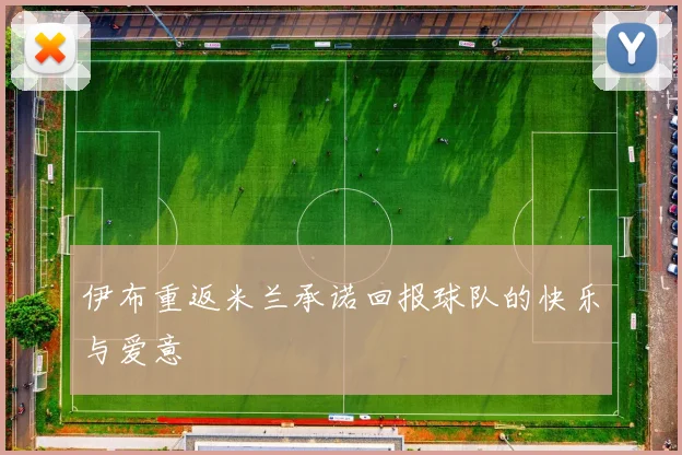 伊布重返米兰承诺回报球队的快乐与爱意