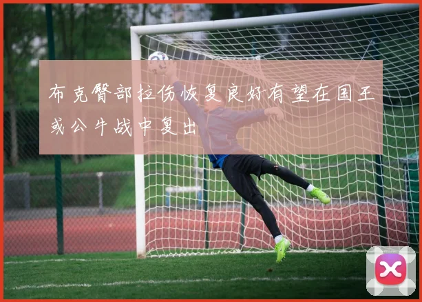 布克臀部拉伤恢复良好有望在国王或公牛战中复出