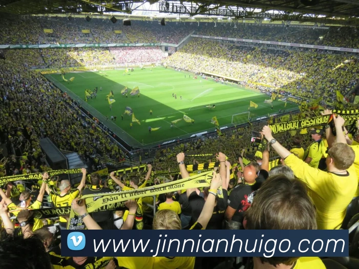 金年会发展历程